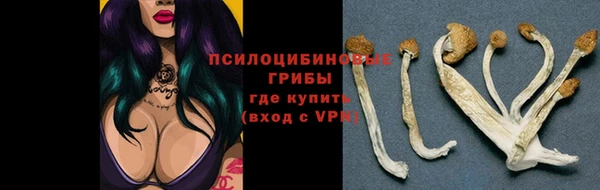 ALPHA PVP Арсеньев