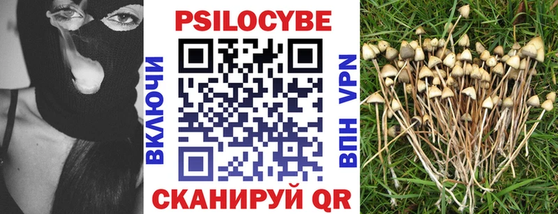 дарнет шоп  Долинск  Псилоцибиновые грибы Cubensis 